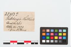 Etiketten zu Bleiring (NHMW-PRAE-025053a)